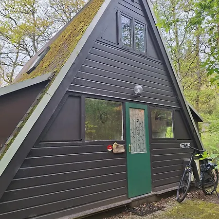 139 Hakuna Matata * Дюрбюи