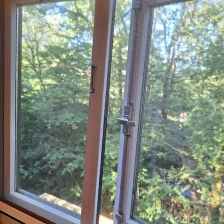 139 Hakuna Matata Шале